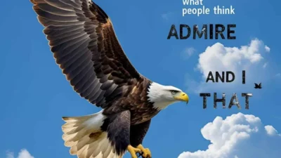 Bird Quotes