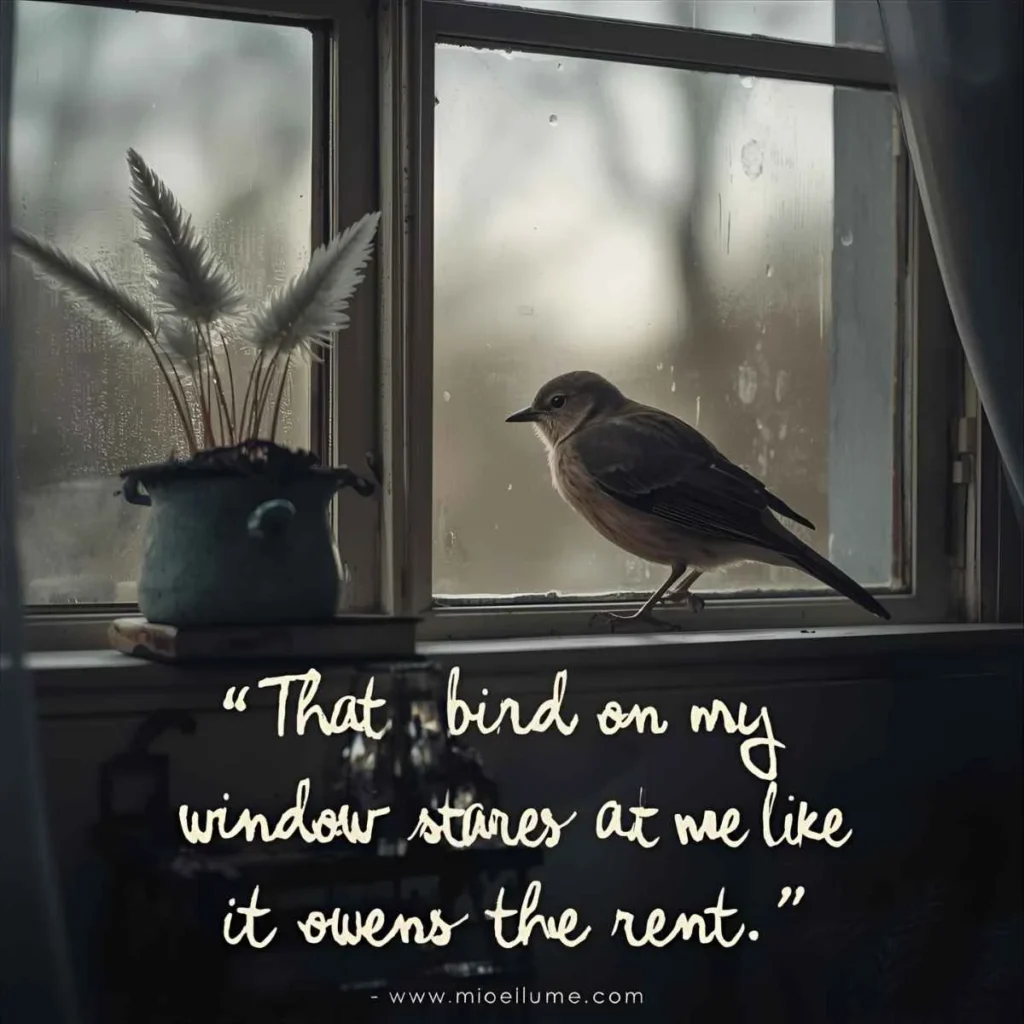 Bird Quotes