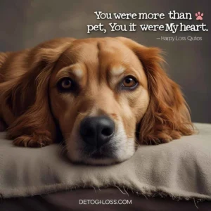 Dog Loss Quotes