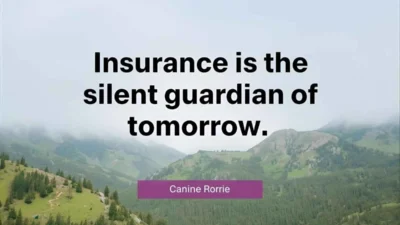 Quotes About Insurance