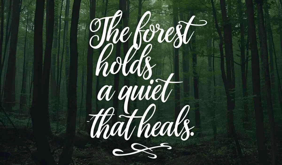 Serenity Quotes