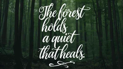 Serenity Quotes
