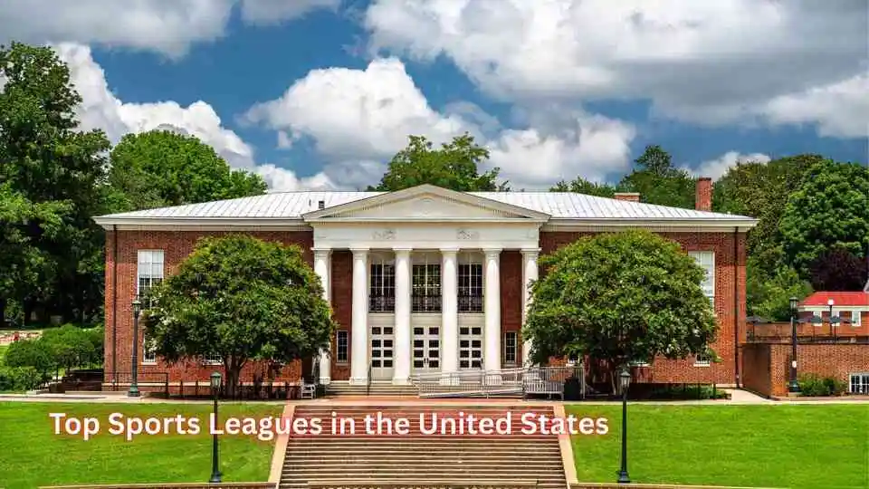 Top Sports Leagues in the United States